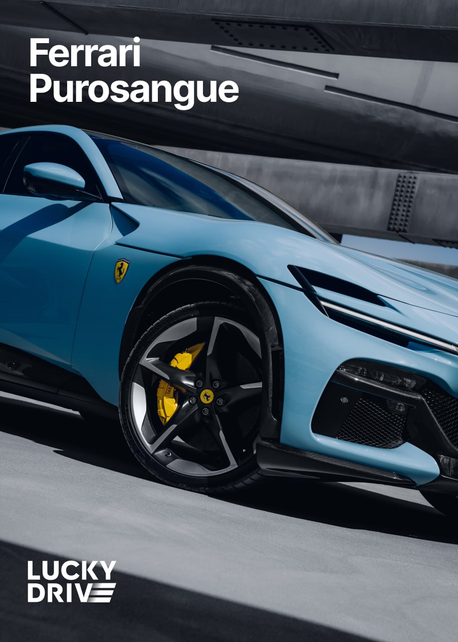 photo_2026-02-16 21.14.03.jpeg